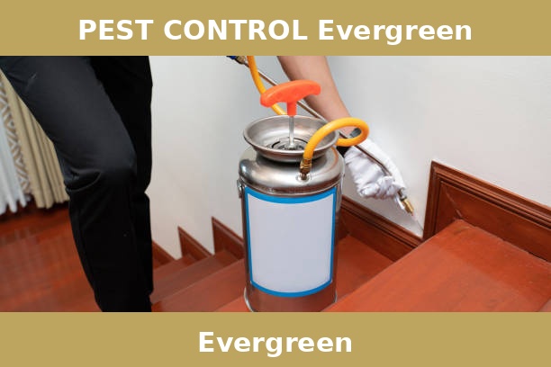 PEST CONTROL Evergreen